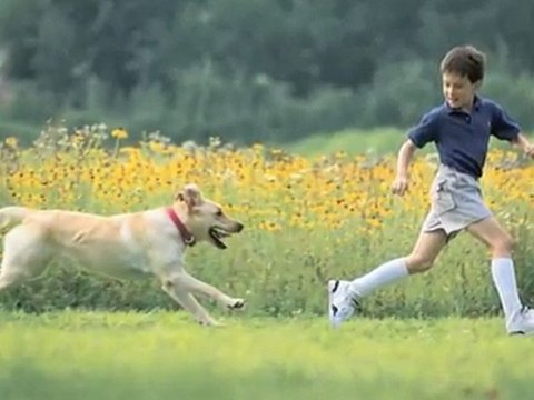 Behandlung Von Reptilien Egelsbach, Hess Tierarztpraxis ...