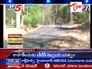 Extraordinary Skating Board Video