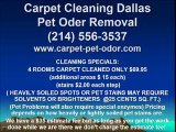Plano pet odor carpet cleaning water damage extraction dalla
