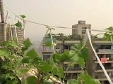 City Rooftop Farming Gaining Popularity in Chongqing, China