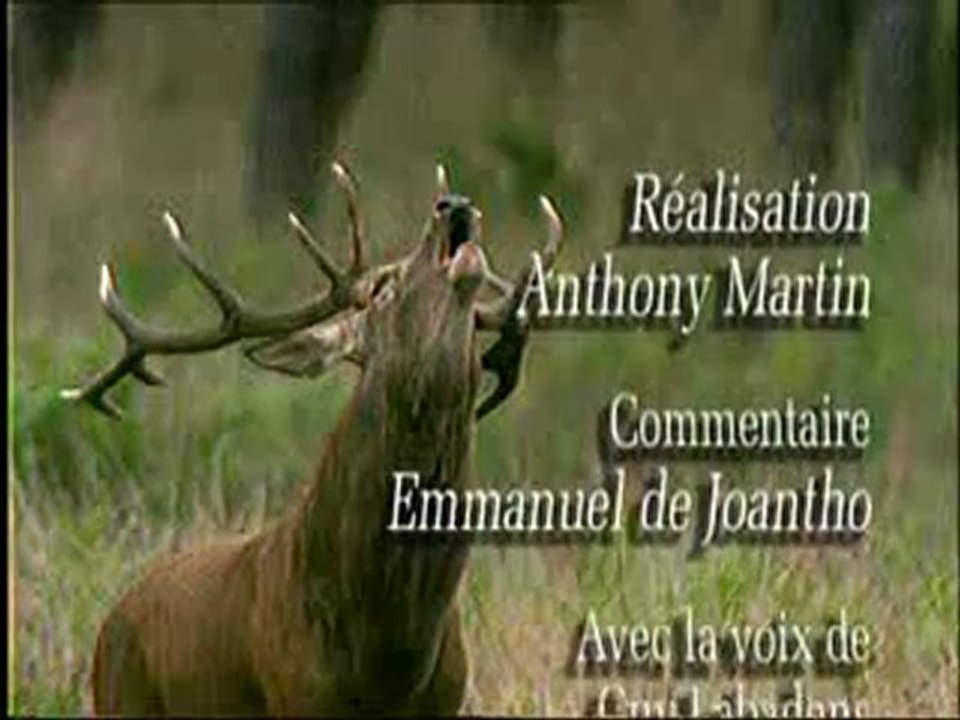 Il était une fois le cerf Partie4