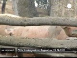 Chile's volcano's ash covers Argentine village - no comment