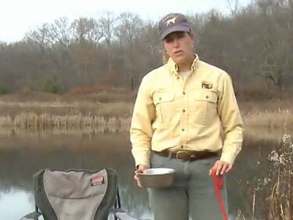 AV KÖPEĞİ EĞİTİMİ Durustavcı.com ÜZERİNİZE ATLAYAN YAVRU KÖPEĞİNİZ