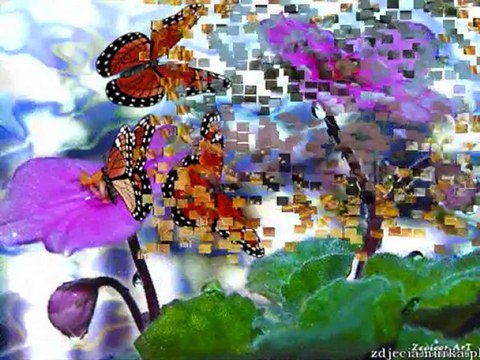 Nie pozwól by ci życie porwał wiatr - Beata%Christian