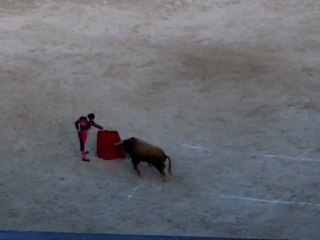 Morante de la Puebla - Aranjuez