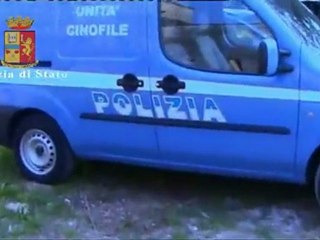 Verona - Spranghe, pistole e coltelli