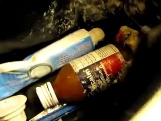 Thanks Delta Airlines using baggage