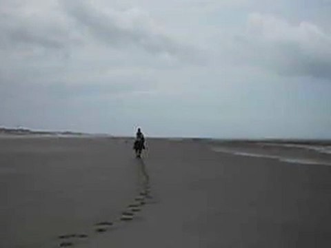 à la chasse aux mouette mouette mouette je veux y retourner maman !