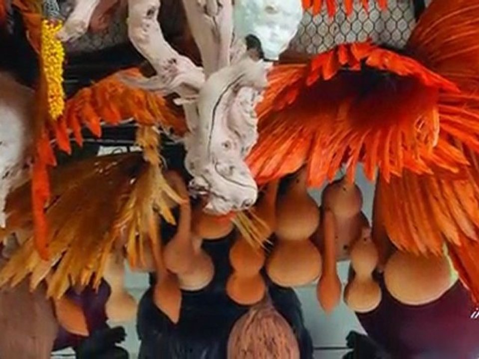 Rina Banerjee: Chimères de l'inde et de l'occident