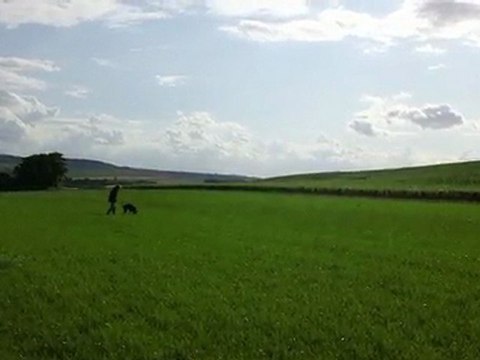 Viona Pistage RCI 10 mois