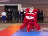 Championnat de France de Kung Fu Traditionnel 2011 (Cléon) 01/36  Danse du Lion