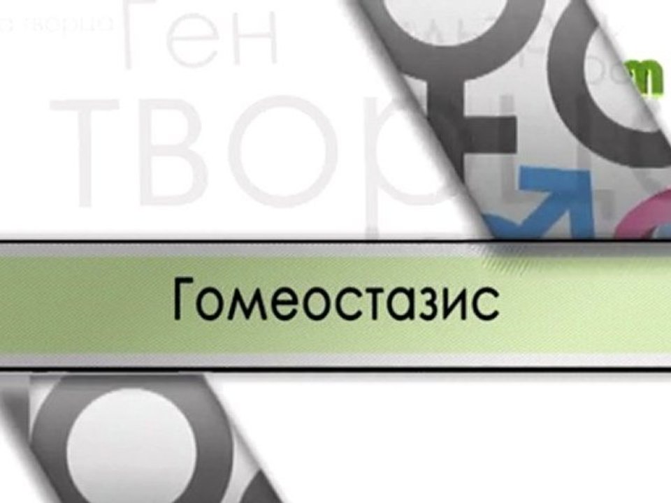 Гомеостазис