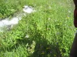 Le jardin d'Emilie - 45