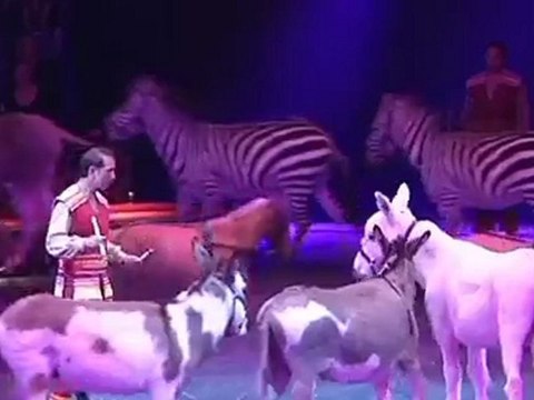 Le cirque Arlette GRUSS fait escale à Troyes