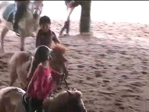 Fête Centaures 2011 - Horseball 1ère mi-temps