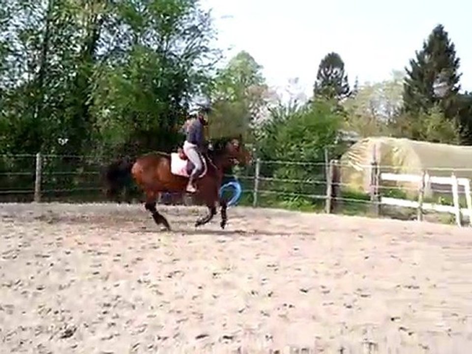 video-2011-04-16-12-57-34