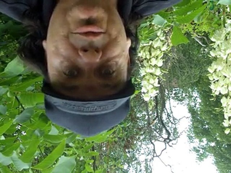 Facebook auf den Kopf stellen - Gewinnspiel mit Hanshans