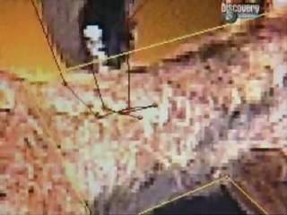 Duelo animal.2/5. Tigre siberiano vs Oso pardo.exploradoresdelcineonline