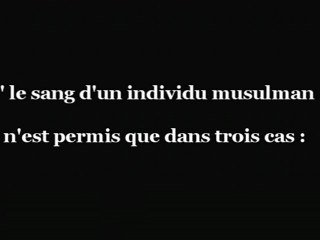 Manifestation permis ou pas en islam ?