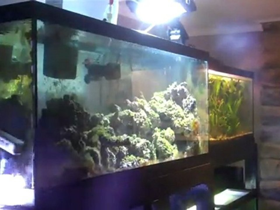 Putting the150 watt metal halide on the 75 Gallon reef tank.