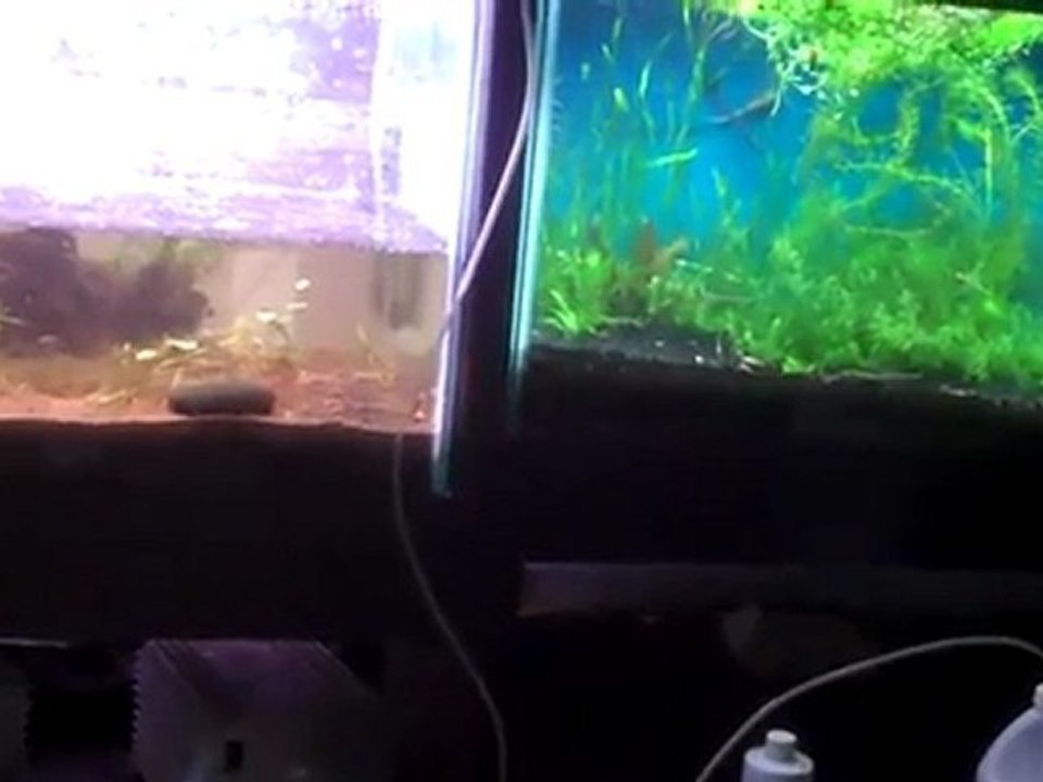 Metal Halide lights on a 90 gallon, Setting up the ...