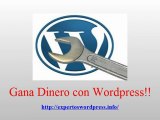 Wordpress. Experto en Wordpress