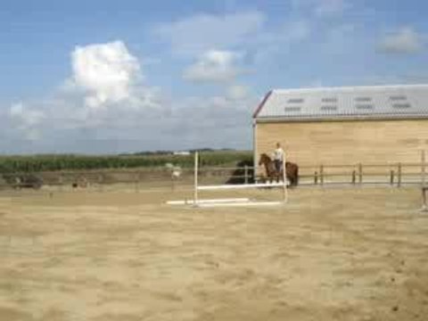 Oppidum de Nerville, Ecuries du bout du monde