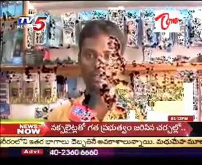 Wonderful Miniatures Maker - Raju @ Siricilla