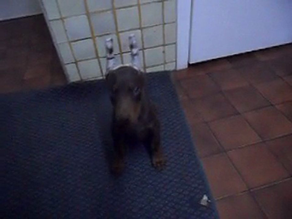 Aris jugando