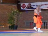 Championnat de France de Kung Fu Traditionnel 2011 (Cléon) 03/36 Armes vétérans - Fouet à 9 sections 2