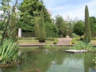 Wild bees given homes in Swiss cities