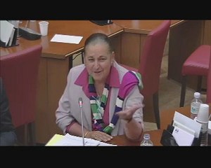 Intervention en Commission des affaires Culturelles