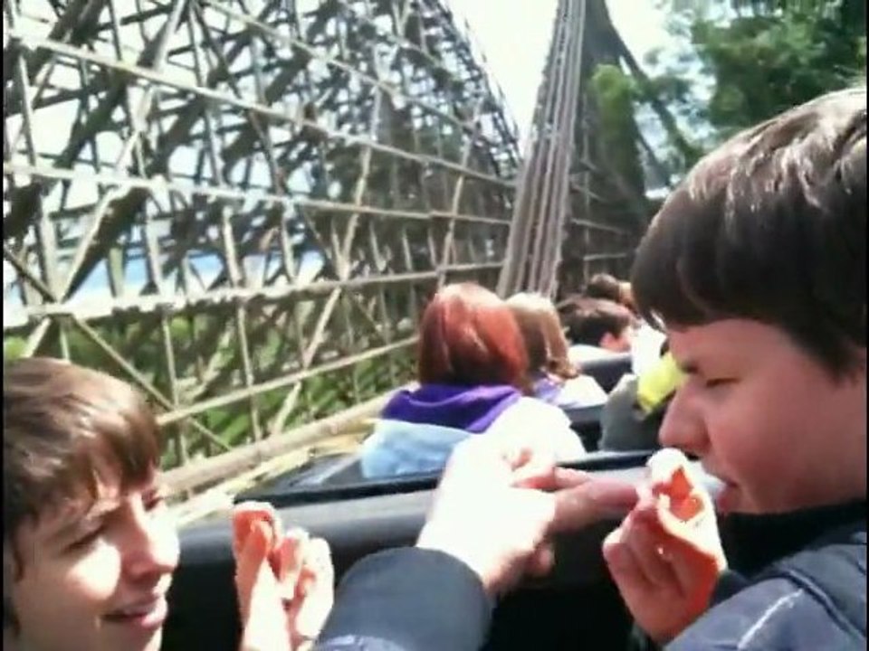 Walygator 2011