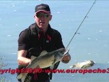 STREET FISHING EUROPECHE34 LOUP/BAR AUX LEURRES sur le lez