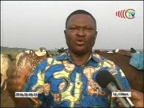 Visite du site d'élevage bovin au parc de Loango