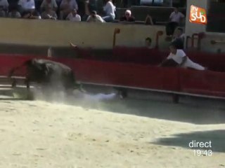 Course camarguaise: Maxime Favier encorné