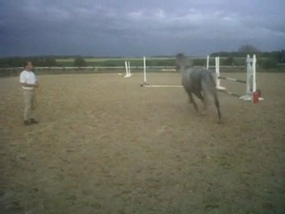 Socrate de Picquigny