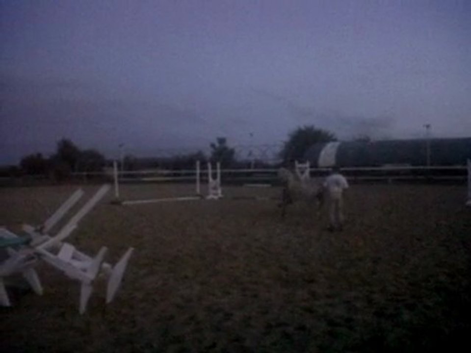 Socrate de Picquigny (2)