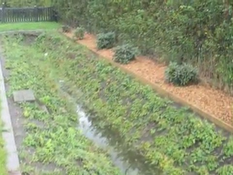 Hjemmeservice Ikast Pd Vikar Og Anlæg