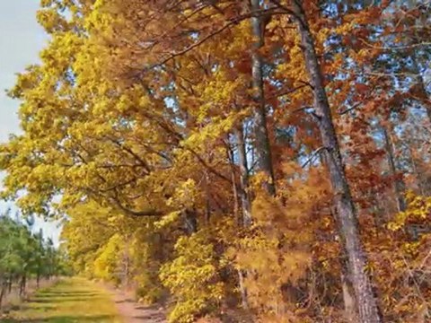 North Carolina Farms and Land For Sale