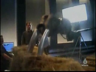 Duelo animal.2/5. Oso polar vs Morsa.exploradoresdelcineonline