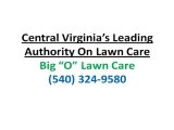 Lawn Staunton VA|How To Control Moss In Lawns