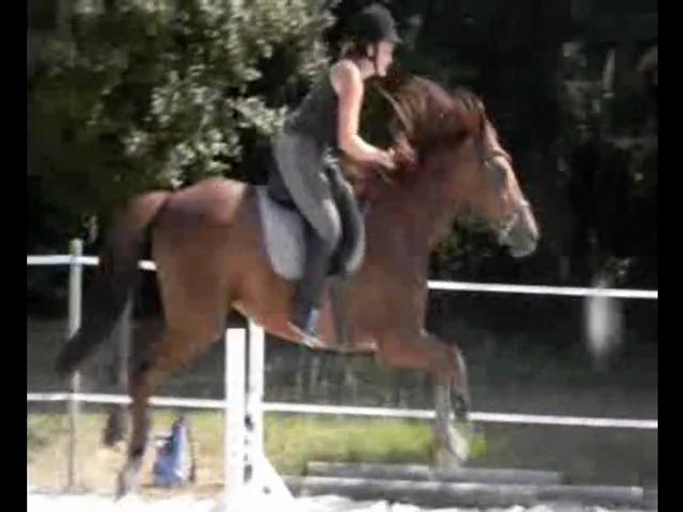 Juin 2011