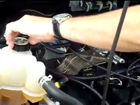 Used 2008 Ford Escape XLT 4wd for sale at Honda Cars of Bellevue...an Omaha Honda Dealer!