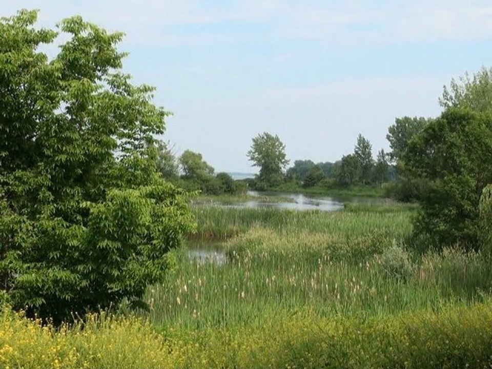 Sanctus - Chorale Libera