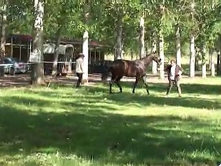 vendange concours Juin 2011