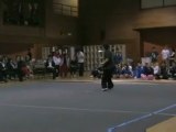 2010 Wushu Collegiates - Justin Leong Pudao