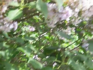 Marilyn et Gertrud deux poulettes formidables film 3