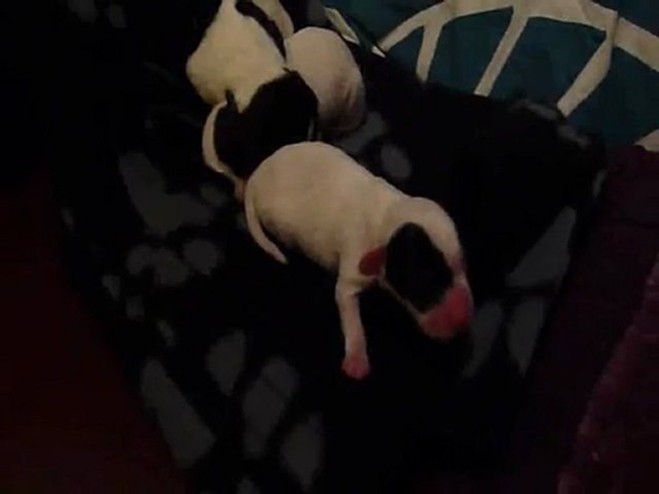 C'est bon de naître à l'arrivée de l'été