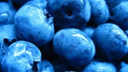 How To Grow Blueberries